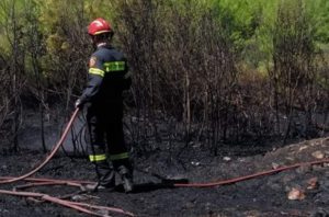 Αγ. Στεφάνος:  Πυρκαγιά εκδηλώθηκε επί της Λεωφόρο Λίμνης Μαραθώνος στο ύψος της Αγίας Τριάδας