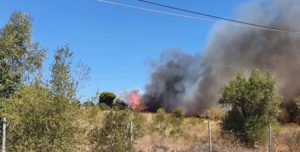 Ραφήνα  Πικέρμι: Φωτιά ξέσπασε στην Αρίωνος κοντά στο Αθλητικό Παραολυμπιακό Κέντρο, Αρίωνος και Αγίου Γεωργίου