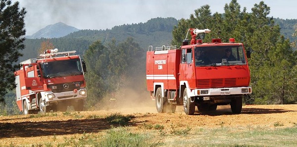 Σπάτα και Αρτέμιδα: Πυρκαγιά στην Αρτέμιδα μέσα σε πευκόφυτη περιοχή στον δρόμο με αριθμό 20