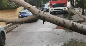 Βριλήσσια : Πτώση δέντρου στην οδό Κονίτσης και Πίνδου - Υλικές ζημίες σε σταθμευμένο αυτοκίνητο  