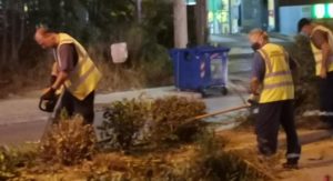 Βριλήσσια: Εργασίες καθαρισμού και κλαδέματος το απόγευμα στην νησίδα της λεωφόρου Αναπαύσεως