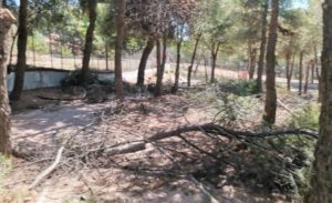 Βριλήσσια: Πάρκο πρώην Ναυτικής Βάσης - Η Πολιτική Προστασία συνεχίζει τον καθαρισμό του χώρου από τα ξερά κλαδιά και πευκοβελόνες