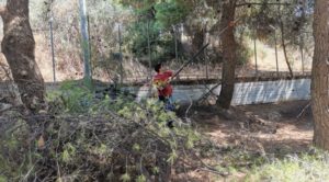 Βριλήσσια: Πάρκο πρώην Ναυτικής Βάσης - Η Πολιτική Προστασία συνεχίζει τον καθαρισμό του χώρου από τα ξερά κλαδιά και πευκοβελόνες