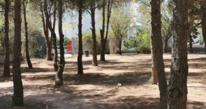 Βριλήσσια: Πάρκο πρώην Ναυτικής Βάσης - Η Πολιτική Προστασία συνεχίζει τον καθαρισμό του χώρου από τα ξερά κλαδιά και πευκοβελόνες
