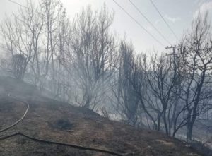 Βύρωνα :  Φωτιά βρίσκεται σε εξέλιξη αυτή την ώρα στον Καρέα