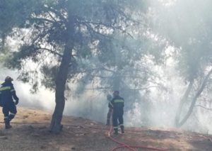 Βύρωνα :  Φωτιά βρίσκεται σε εξέλιξη αυτή την ώρα στον Καρέα