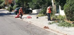 Διόνυσος: Συνεχίζεται καθημερινά το νοικοκύρεμα του Δήμου