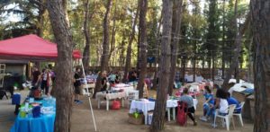 Νέα Φιλαδέλφεια  Νέα Χαλκηδόνα : Τρίτη και τελευταία ημέρα του 14ου Φιλοζωϊκού Πανηγυριού στο Άλσος Φιλαδέλφειας