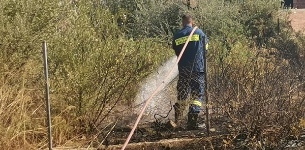 Παλλήνη :Φωτιά ξέσπασε πριν λίγο στην περιοχή του Γέρακα