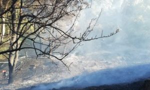 Κηφισιά: Πυρκαγιά στη συμβολή των οδών Παλλάδος και Κοκκιναρά