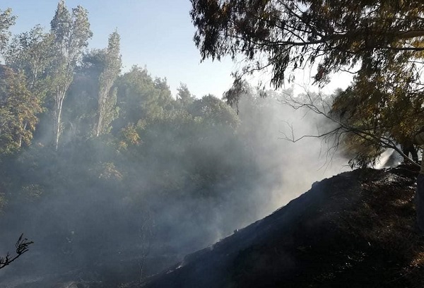 Κηφισιά: Πυρκαγιά στη συμβολή των οδών Παλλάδος και Κοκκιναρά