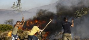 Μαραθώνα: Πυρκαγιά στην περιοχή Ανατολή Νέας Μάκρης