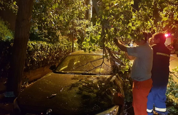 Παπάγος Χολαργός: Επί της οδού Ναυαρίνου έσπασε μεγάλο κλαρί από δέντρο και έπεσε επάνω σε σταθμευμένο αυτοκίνητο