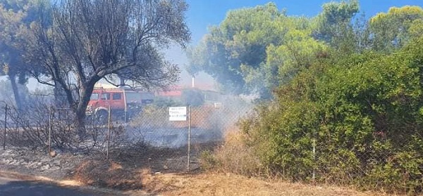 Ραφήνα Πικέρμι: Κατασβέστηκε πλήρως η  Φωτιά που ξέσπασε στον οικισμό Δροσιά