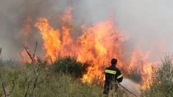 Ραφήνα Πικέρμι:  Κατασβήστηκε η φωτιά στη χαράδρα ανάμεσα στην Καλλιτεχνούπολη με το Ντράφι