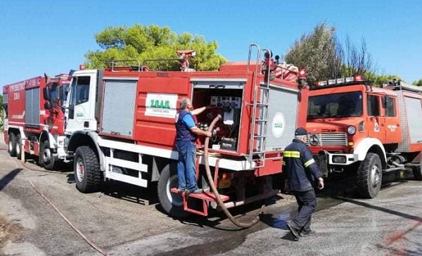 ΣΠΑΠ: Άμεση επέμβαση σε πυρκαγιές  που ξέσπασαν σε Αγριλίκι Νέας Μάκρης, Ανάβυσσο, Κηφισιά, Νέο Βουτζά και Δροσιά Ραφήνας