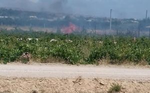 Σπάτα Αρτέμιδα: Πυρκαγιά σε αγροτική έκταση στα Σπάτα απέναντι από το εκπτωτικό χωριό