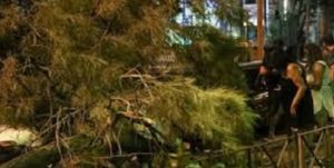 Χαλάνδρι : Δέντρο καταπλάκωσε περαστικό