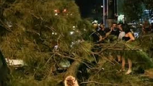 Χαλάνδρι: Ανακοίνωση του Δήμου για το περιστατικό πτώσης δέντρου και τραυματισμού περαστικού