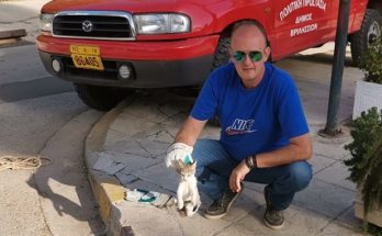 Βριλήσσια: Απεγκλώβιση ενός μικρού ζώου που είχε πέσει σε σχάρα των ομβρίων