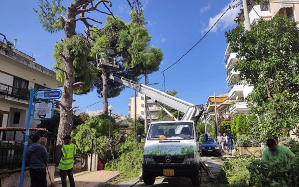 Νέο Ηράκλειο : Συνεχίζονται οι εργασίες απομάκρυνσης των πεσμένων δέντρων από τις αυλές σπιτιών