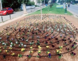 Παλλήνη: Μικροί ανθόκηποι που θα είναι ανθισμένοι όλο τον χρόνο έδωσαν χρώμα στο  κέντρο της πόλης