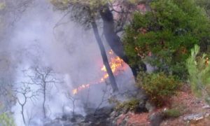 Παπάγου Χολαργός:  Τέθηκε υπό πλήρη έλεγχο η φωτιά στον Υμηττό που ξεκίνησε από ΙΧ αυτοκίνητο