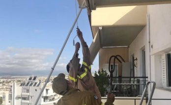 Περιβάλλον: Πυροσβέστες απεγκλωβίζουν από τα κεραμίδια πολυκατοικίας πουλάκι που είχε μπλεχτεί σε σύρμα
