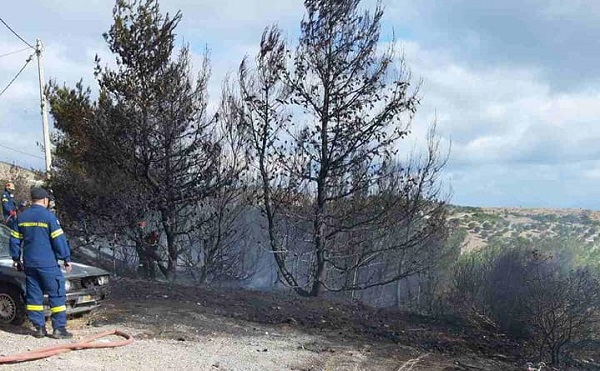 Πεντέλη : Μικρής έκτασης φωτιά σήμερα το μεσημέρι στη Νταόυ Πεντέλης