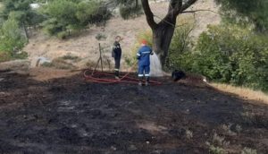 Πεντέλη : Πυρκαγιά σε δασική έκταση επί της οδού Μελπομένης στα Μελίσσια