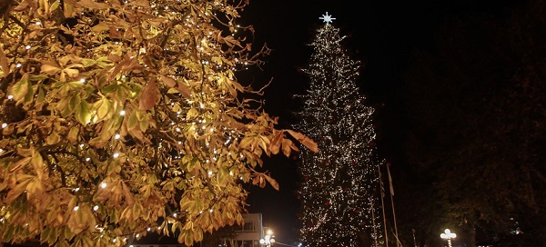Τρίκαλα : Φωταγωγήθηκε το ψηλότερο φυσικό χριστουγεννιάτικο δέντρο της Ελλάδας -Στα Τρίκαλα