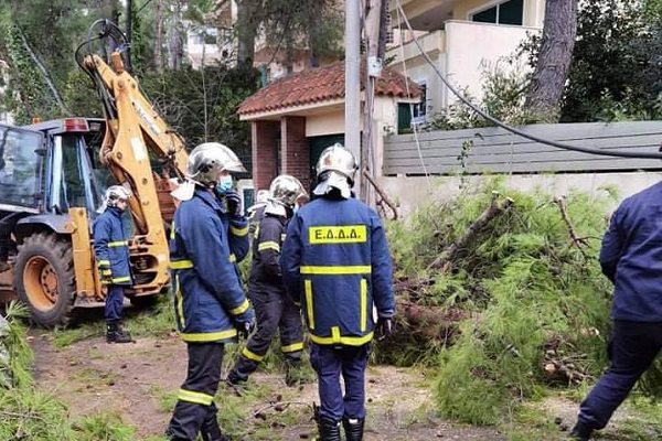 Διόνυσος: Στην περιοχή της Ροδόπολης αρκετά μεγάλα  δέντρα έπεσαν δημιουργώντας προβλήματα στην κυκλοφορία