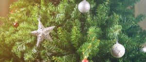 Η ιστορία για το Χριστουγεννιάτικο δέντρο