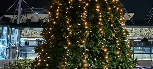 Νέο Ηράκλειο: Άναψε το Χριστουγεννιάτικο δένδρο στην πόλη