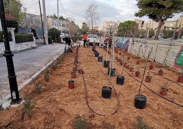 Νέο Ηράκλειο: Ο Δήμος φυτεύει τα παρτέρια της οδού Κηφισίας