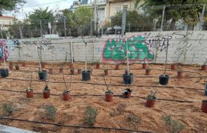 Νέο Ηράκλειο: Ο Δήμος φυτεύει τα παρτέρια της οδού Κηφισίας