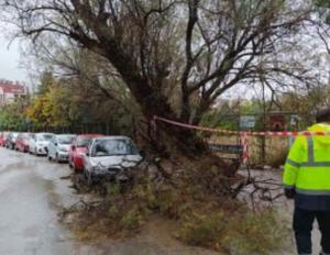 Μαρούσι: Σε 24ωρη επιχειρησιακή ετοιμότητα οι υπηρεσίες Πολιτικής Προστασίας του Δήμου Αμαρουσίου