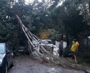 Μαρούσι: Σε 24ωρη επιχειρησιακή ετοιμότητα οι υπηρεσίες Πολιτικής Προστασίας του Δήμου Αμαρουσίου