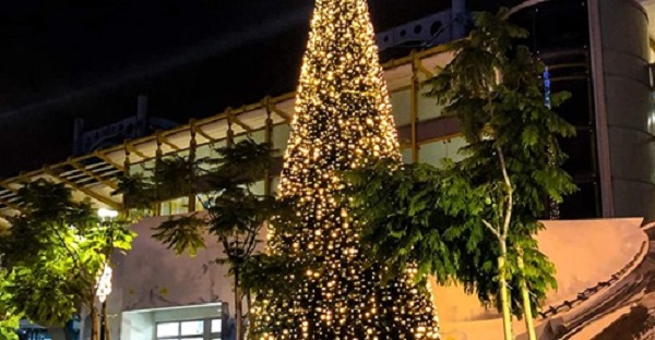 Μαρούσι : Σήμερα φωταγωγείτε το δέντρο του Δήμου στις 19.00