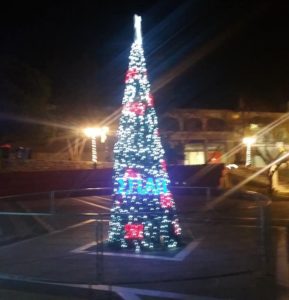 Σ.Π.Α.Π.: Φωτίστηκε το Χριστουγεννιάτικο Δέντρο του συνδέσμου στην Πλατεία Νέας Πεντέλης