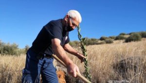 ΣΠΑΥ : Νέα αναδάσωση σήμερα στο  Δήμο Βάρης - Βούλας - Βουλιαγμένης