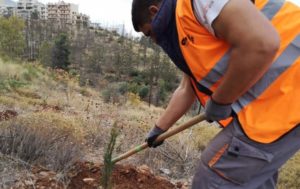 ΣΠΑΥ: Οι αναδασώσεις  συνεχίζονται με αμείωτους ρυθμούς