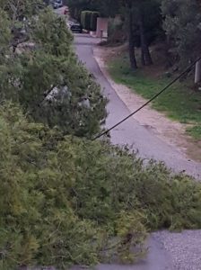 Διόνυσος: Στην Λεωφόρο Δημοκρατίας λόγω της κακοκαιρίας έπεσαν δέντρα