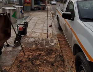Ηράκλειο Αττικής:  Η υπηρεσία Πρασίνου του Δήμου φυτεύει νέα δένδρα στην οδό Πλαπούτα