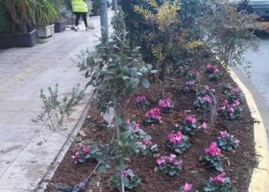 Μαρούσι : Καθαριότητα και Πράσινο στις καθημερινές προτεραιότητες του Δήμου Αμαρουσίου