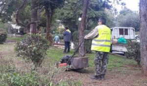 Μαρούσι: Σε πλήρη εξέλιξη το πρόγραμμα συντήρησης  πρασίνου σε όλες τις γειτονιές του Αμαρουσίου