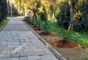 Παπάγου Χολαργός : Η υπηρεσία πράσινου του Δήμου συνεχίζει τις εργασίες καλλωπισμού και ενίσχυσης του πρασίνου στην πόλη