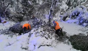 Χωρίς ρεύμα και νερό για τρίτη συνεχή ημέρα νοικοκυριά στη βόρεια και ανατολική Αττική