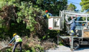 Κηφισιά: Με σχεδιασμό και πρόγραμμα πραγματοποιείται η απομάκρυνση των πεσμένων δένδρων και κλαδιών στο Δήμο