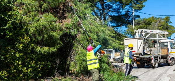 Κηφισιά: Με σχεδιασμό και πρόγραμμα πραγματοποιείται η απομάκρυνση των πεσμένων δένδρων και κλαδιών στο Δήμο